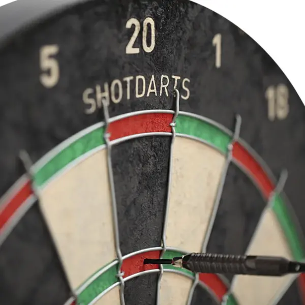 Rogue Bristle Dartboard - Image 2