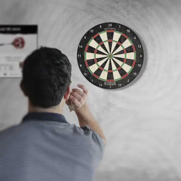 Rogue Bristle Dartboard - Image 3