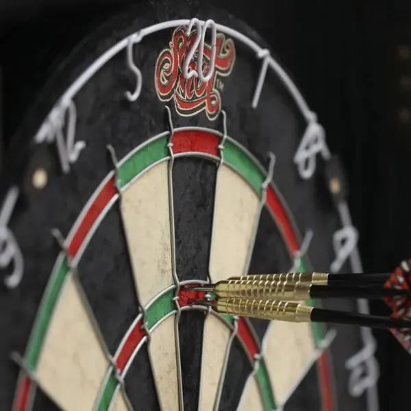 Renegade Bristle Dartboard - Image 2